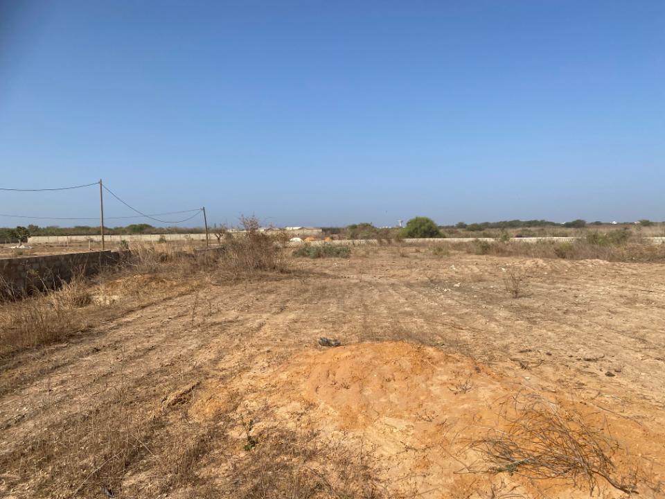 Terrain titré 500m²