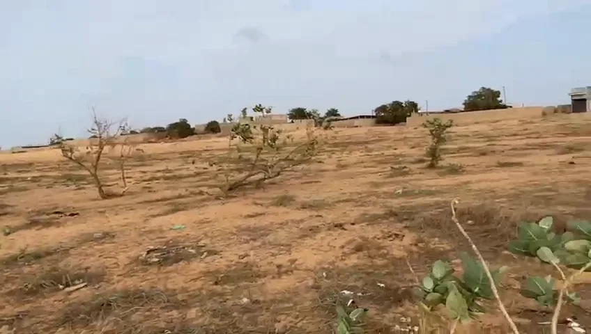 BAYAKH – 15 hectares en première position sur la route Bayakh–Kayar