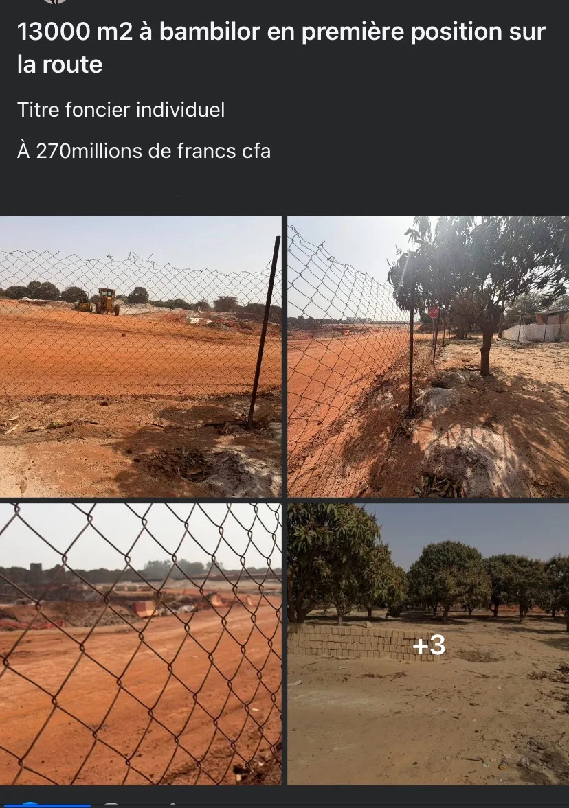 13000 mètres carrés à bambilor
