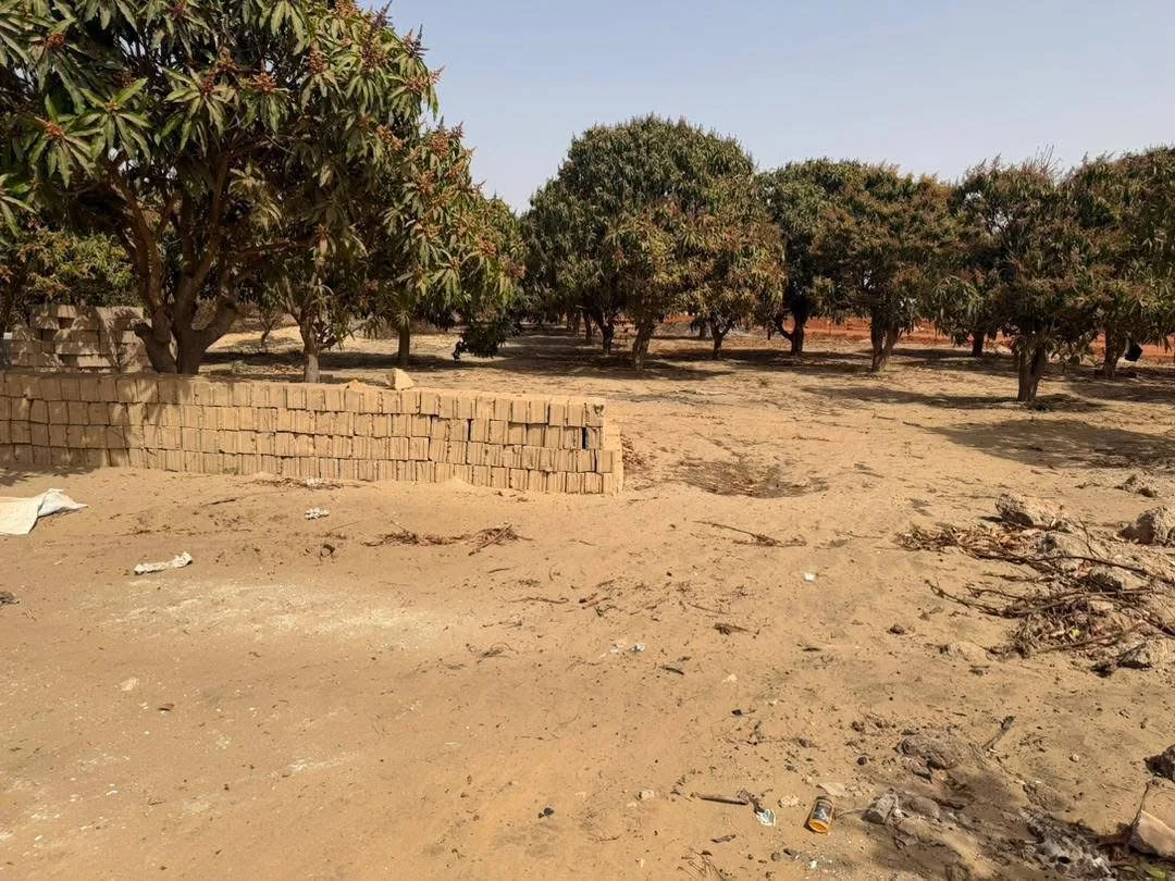 13000 mètres carrés à bambilor
