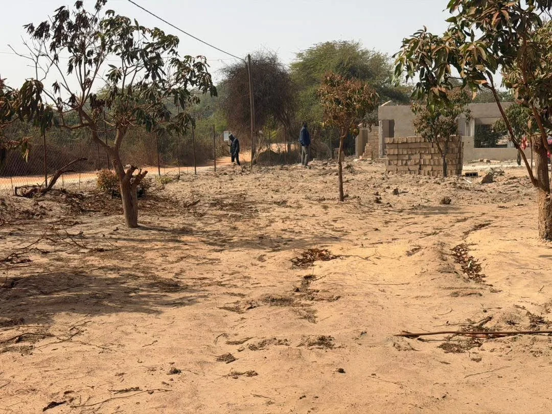 13000 mètres carrés à bambilor