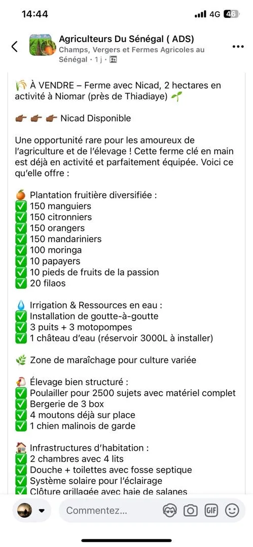 Ferme oppotunite à saisir