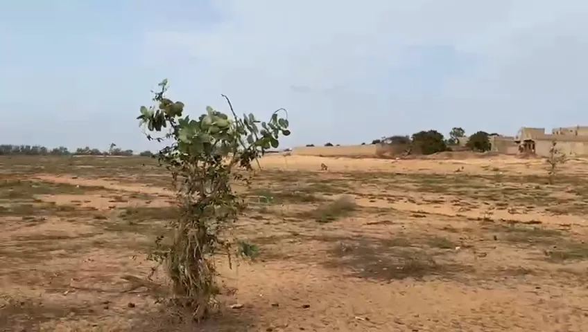 BAYAKH – 15 hectares en première position sur la route Bayakh–Kayar