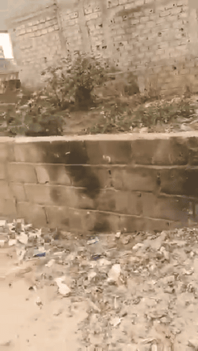 TERRAIN ANGLE – ZAC MBAO