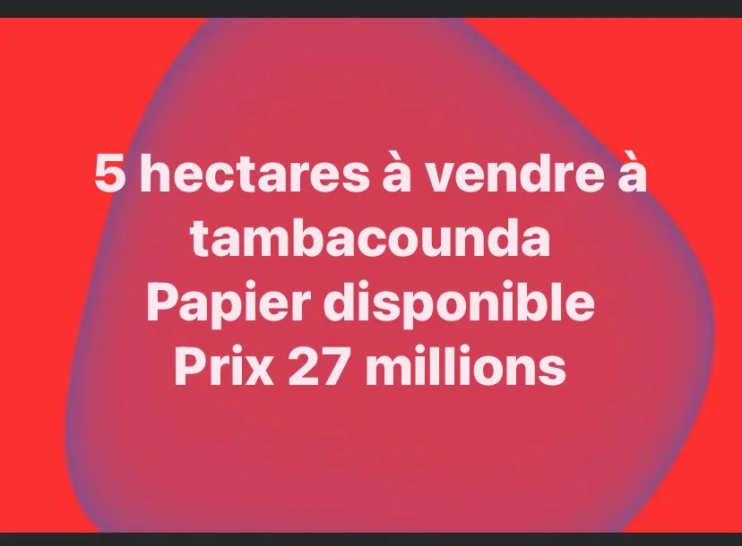 Une belle opportunité à saisir à tamba 5 hectares à vendre avec nicad