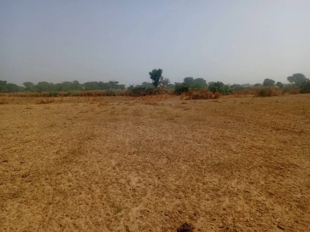 Terrain Agricole de 1,40 Hectare vers Notto Diobass – Thiès
